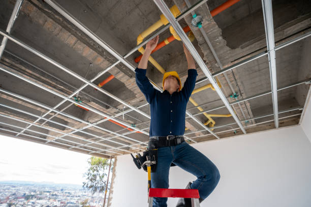 Best Local Plumber Services  in Carlyss, LA