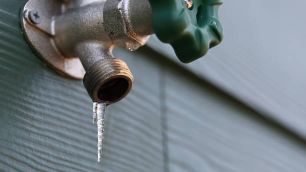 Best Leak Detection Services  in Carlyss, LA